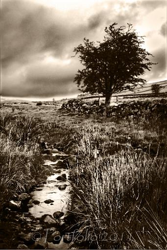 Glens of Antrim moonlit .jpg